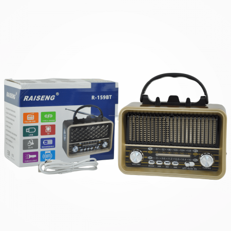 راديو وسماعة بلوتوث محمولة من طراز RAISENG R-158BT.